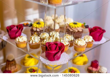 Authentic buffet, assorted fresh fruits, berries and citrus fruits. Morning atmospheric lighting, fashionable trendy spot soft focus. Preparation for design creative menu.