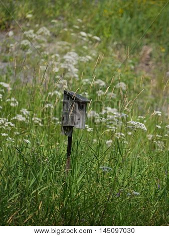 A Bird house in the middle of a field