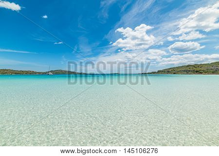 clear water in Cala Brandinchi in Sardinia