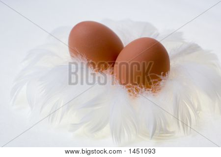 Eier In Feather'S Nest