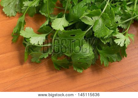 Fresh Coriander. Coentro over a wooden table