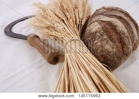 bunch of mown wheat ears with vintage handmade reaper hook sickle and rye dark french fresh bread loaf on white linen tablecloth