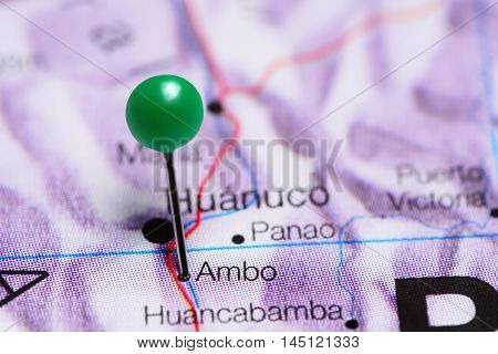 Ambo pinned on a map of Peru