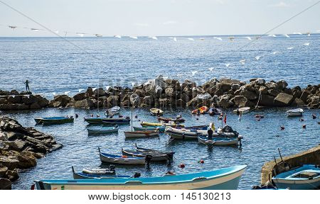 Italy Cinque Terre harbor with fisher boats