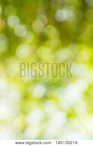 Blurred Yellow Lights Circular Bokeh Abstract For Christmas Background