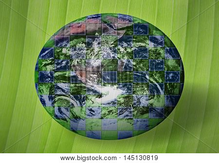 Green globe on green background as an appeal to protect the nature