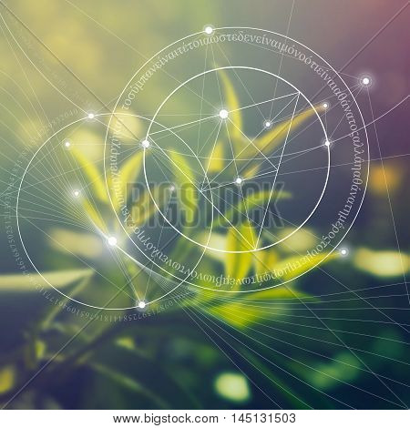 Sacred geometry. Mathematics, nature, and spirituality in nature. The formula of nature. There is no beginning and no end of the Universe, and no beginning and no end of the Life and the Bliss.