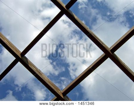 Arbor