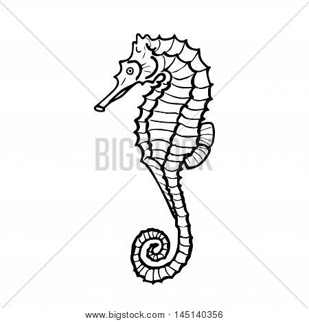 Vector illustration of seahorse silhouette. Hand drawing seahorse
