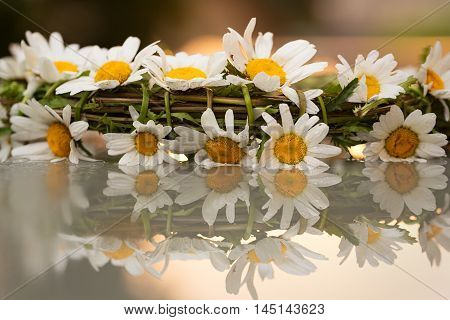 A beautiful daisy wreath with a reflection of the wreath
