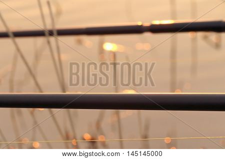 Carp rods at sunset on the lake