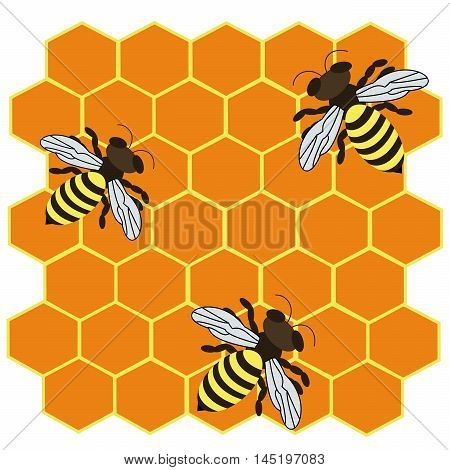 Vector illustration of logo,three striped bees.Isolated drawing consists of hard-working,yellow,striped,melliferous insects on a yellow background.Icon for health,honey, wax, propolis, pollen, nectar.