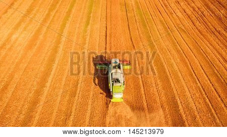 Harvester machine working in field . Combine harvester agriculture machine harvesting golden ripe wheat field. Agriculture. Aerial view. From above.
