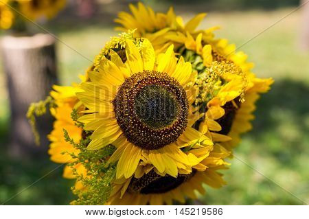 Bouquet of sunflowers. Composition of several sunflowers