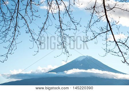 Beautiful view of Mount Fuji through branches of trees in autumn This mountain is a famous natural landmark of Japan