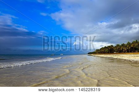 Picturesque Coast Diani