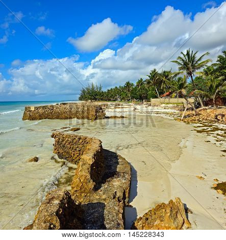 Picturesque Coast Diani