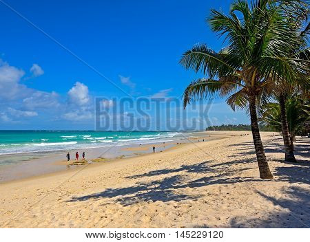 Picturesque Coast Diani