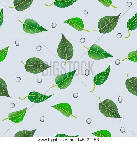 Vector leaf pattern with drops on a gray background