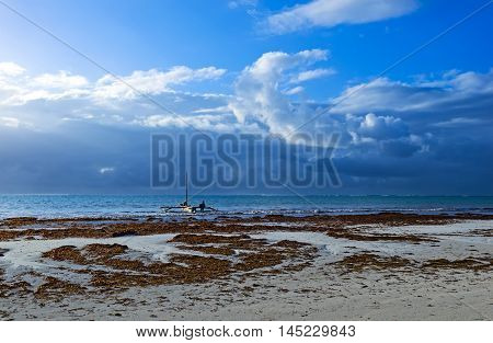 Picturesque Coast Diani