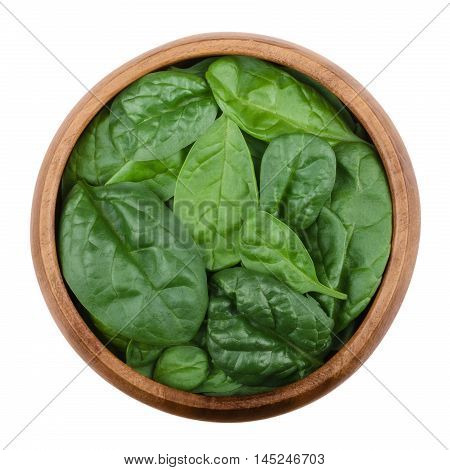 Fresh green spinach leaves in a wooden bowl on white background. Spinacia oleracea, edible flowering plant in the family Amaranthaceae. Raw vegetable. Isolated macro food photo, close up from above.