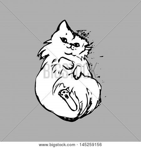 graphic image of a cat lying on the back drawing on a gray background