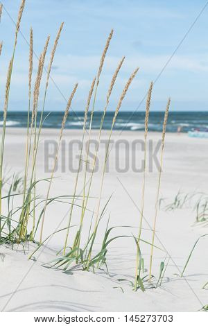 Baltic sea