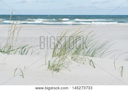 Baltic sea