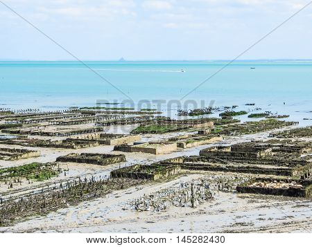 Oyster farms with growing oysters in lowtide, Cancale, France