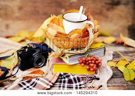 Warm Knitted Scarf And A Book On A Wooden Tray. Peaceful Fall Fr
