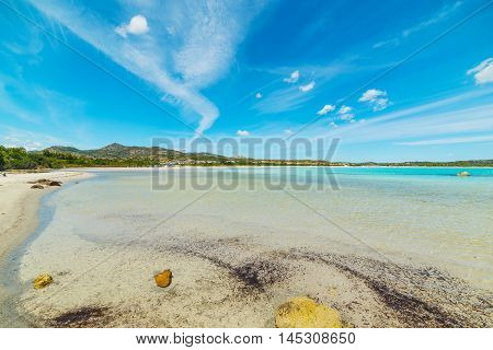 Lu Impostu beach under a blue sky Sardinia