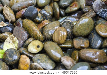 Grey wet pebbles on the beach macro photo for background. Natural round stones close up. Speckled stone texture for wallpapers or backdrop. Volcanic seashore. Small rocks closeup