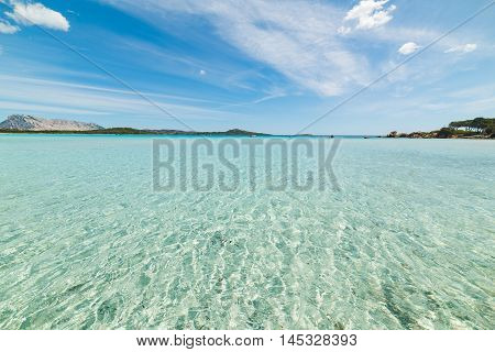 clear water in Lu Impostu beach Sardinia
