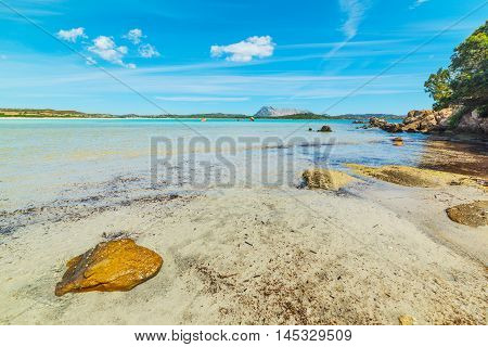 rocks in Lu Impostu foreshore in Sardinia
