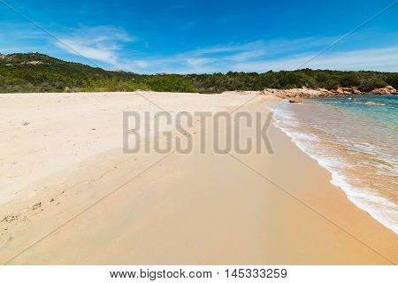 golden shore in Liscia Ruja beach Sardinia