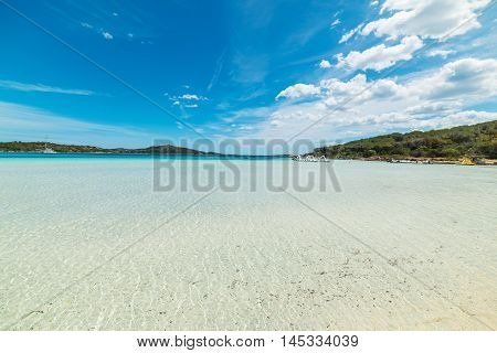 clear water in Cala Brandinchi in Sardinia