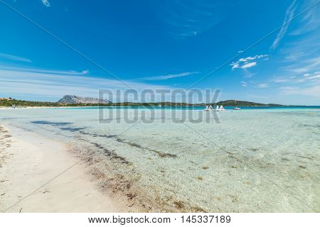a blue sky over Cala Brandinchi Sardinia
