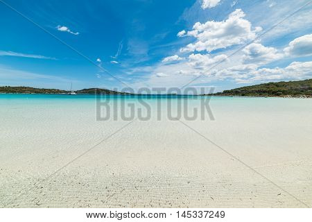 clear water in Cala Brandinchi shoreline Sardinia