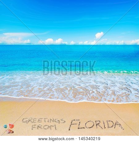 greetings from Florida written on a tropical beach under clouds