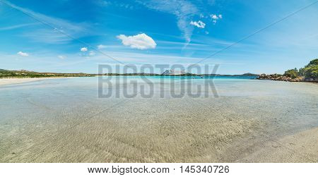 a panoramic view of Cala Brandinchi Italy