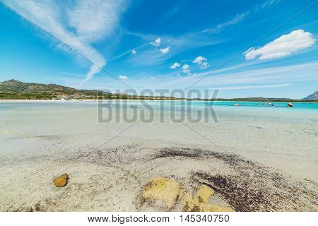 Cala Brandinchi in the summertime in Sardinia