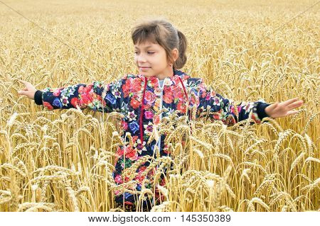 A young girl walk on the field with mature wheat
