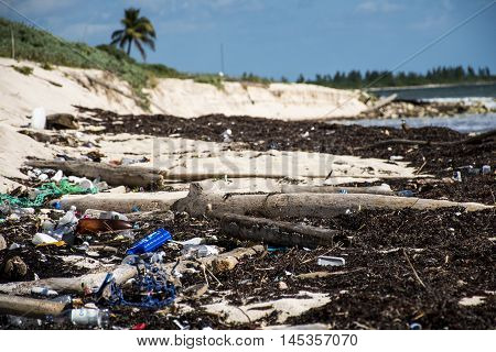 Mexico Coastline Pollution Problem with plastic litter