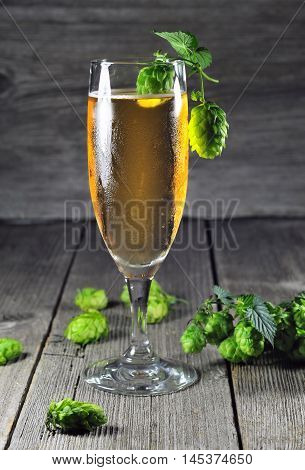 Glass of ice cold beer and green hops