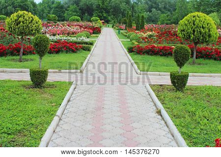 Summer Park