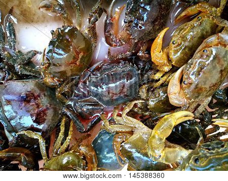 Fresh and alive crab in market in Asia
