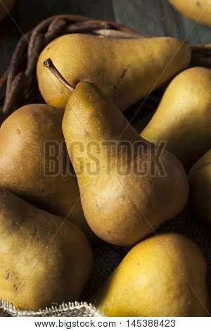 Raw Organic Green And Brown Bosc Pears