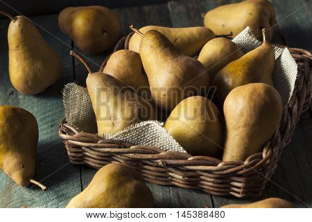 Raw Organic Green And Brown Bosc Pears