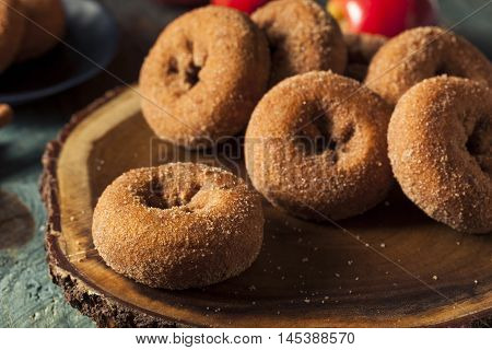Homemade Sugared Apple Cider Donuts