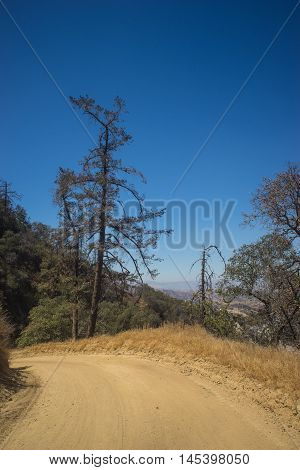 Bend In Mountain Road